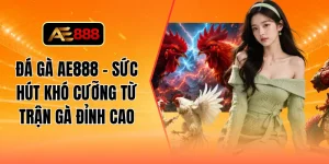Đá gà AE888 - Sức hút khó cưỡng từ trận gà đỉnh cao