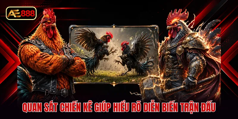 Quan sát chiến kê giúp hiểu rõ diễn biến trận đấu